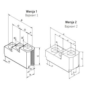 Szczęki górne twarde do uchwytu 2405 typ SGT 2405-250-75 Bison kod: 398521720900 - 2